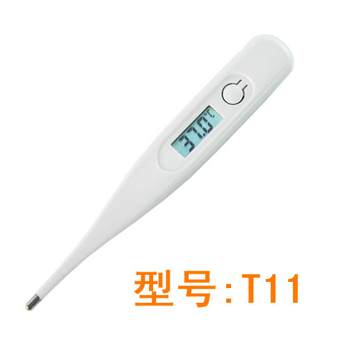 T11
