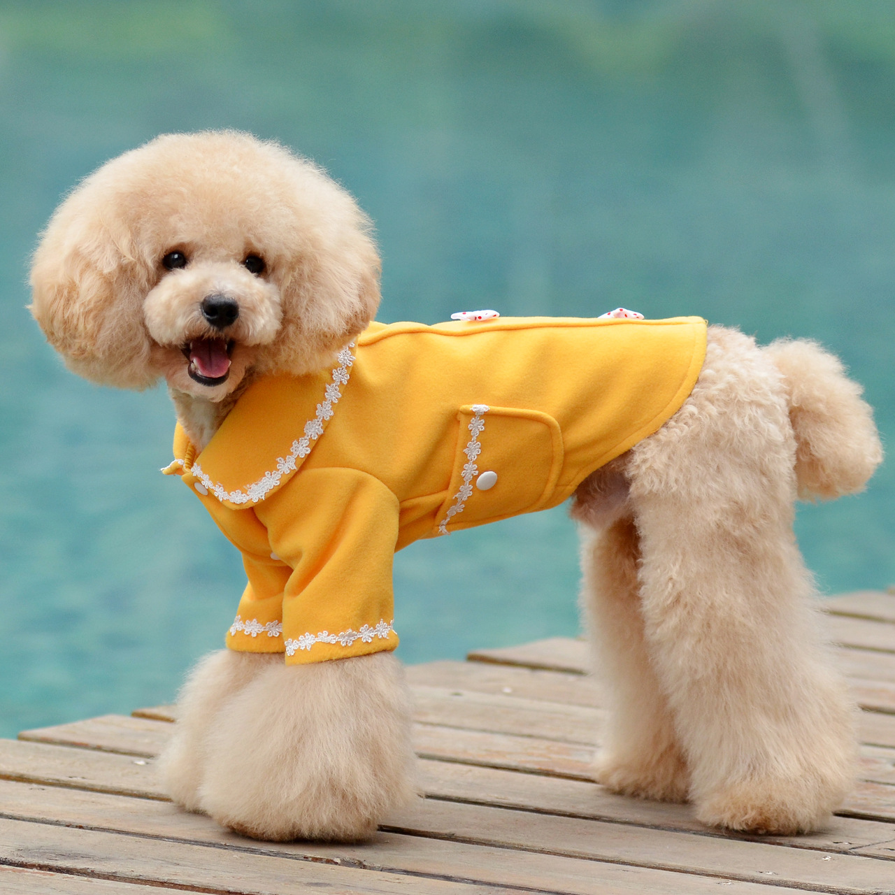 狗衣服宠物服装批发蕾丝呢绒大衣棉袄秋冬款棉衣厂家现货批发