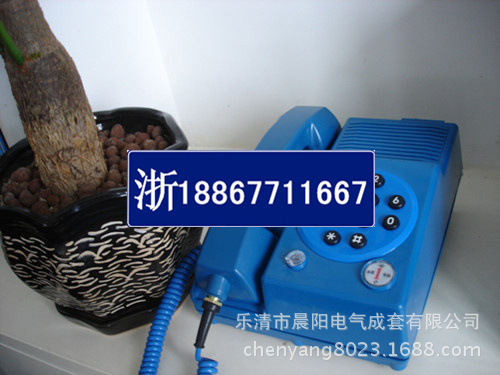 DSC04046_副本_副本