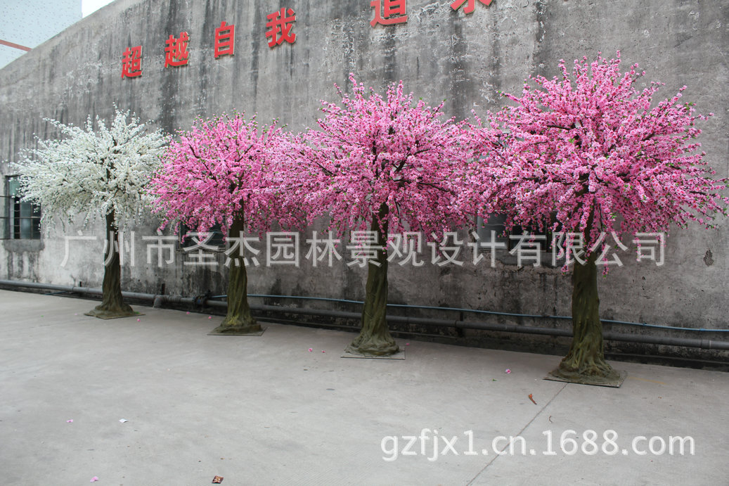 桃花树 4米高 IMG_4729_副本