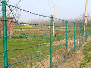 barbedwire005