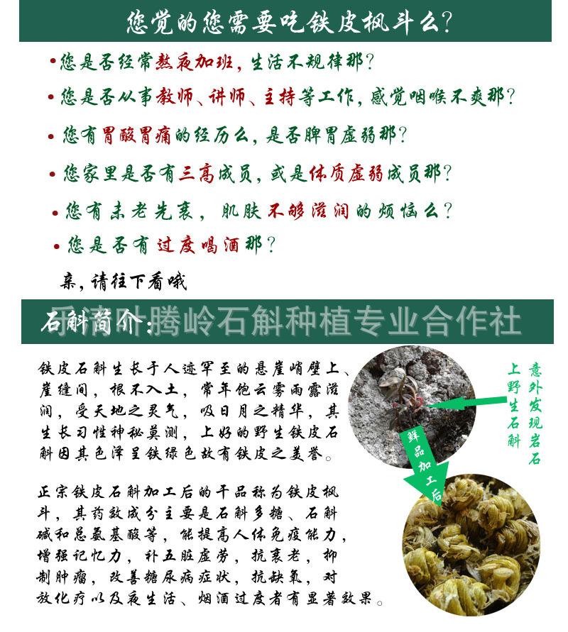 模版1