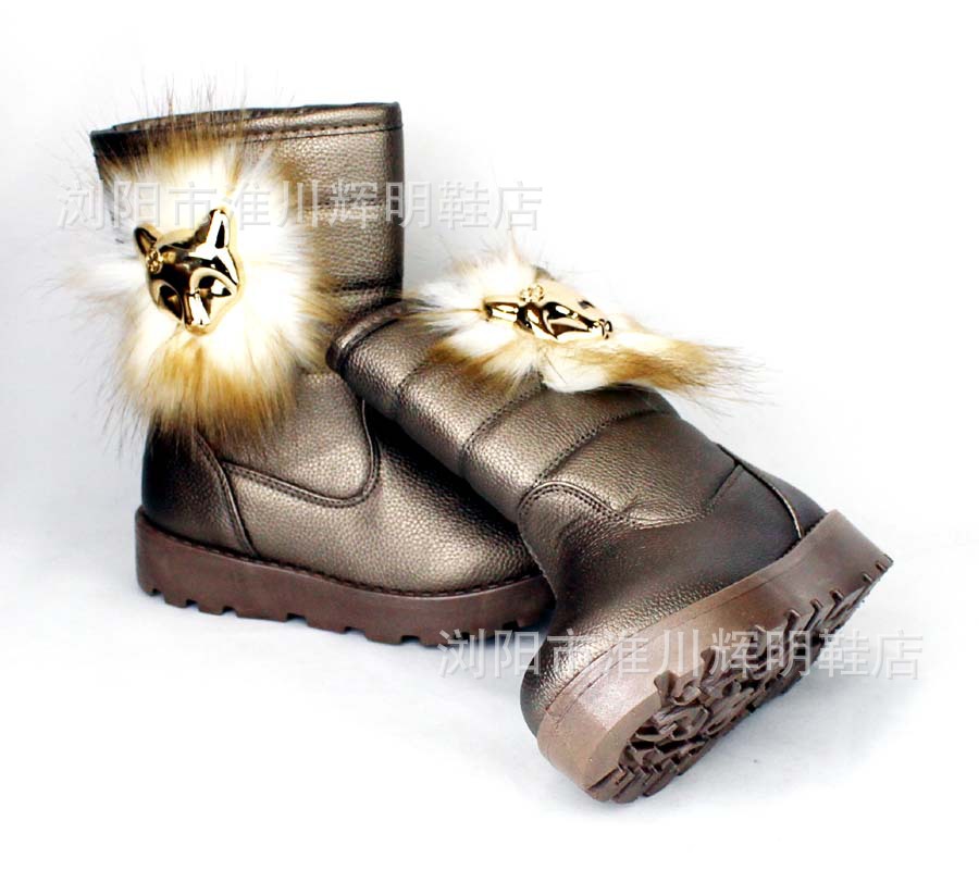 照片 289