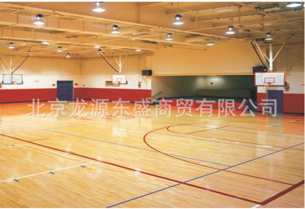 体育馆2