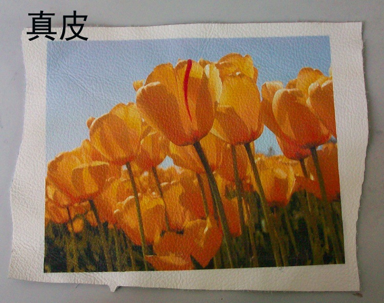 T2TqCrXeXcXXXXXXXX_!!337907225