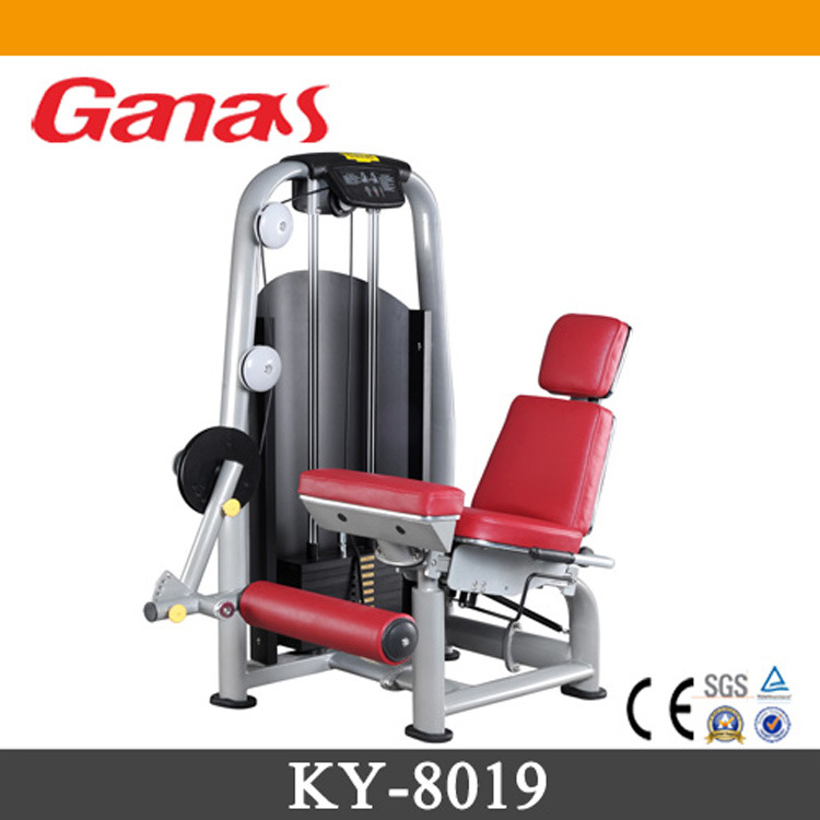 KY-8019 Leg Extension