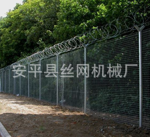 483415121_99265194[2]