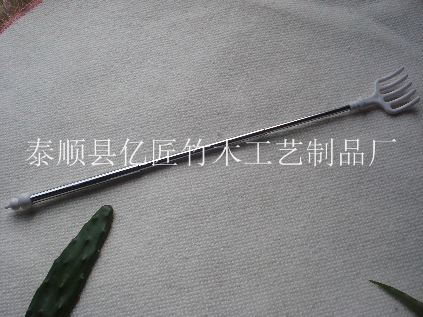 DSC09305