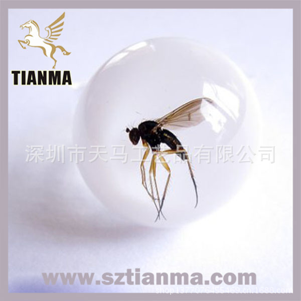 mosquito_white1