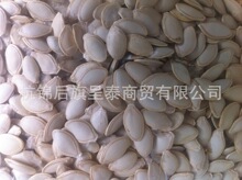 �����ز��Ϲ��Ѻ�«�ѿ������Ϳ����������ӿ������޿��Ϲ���