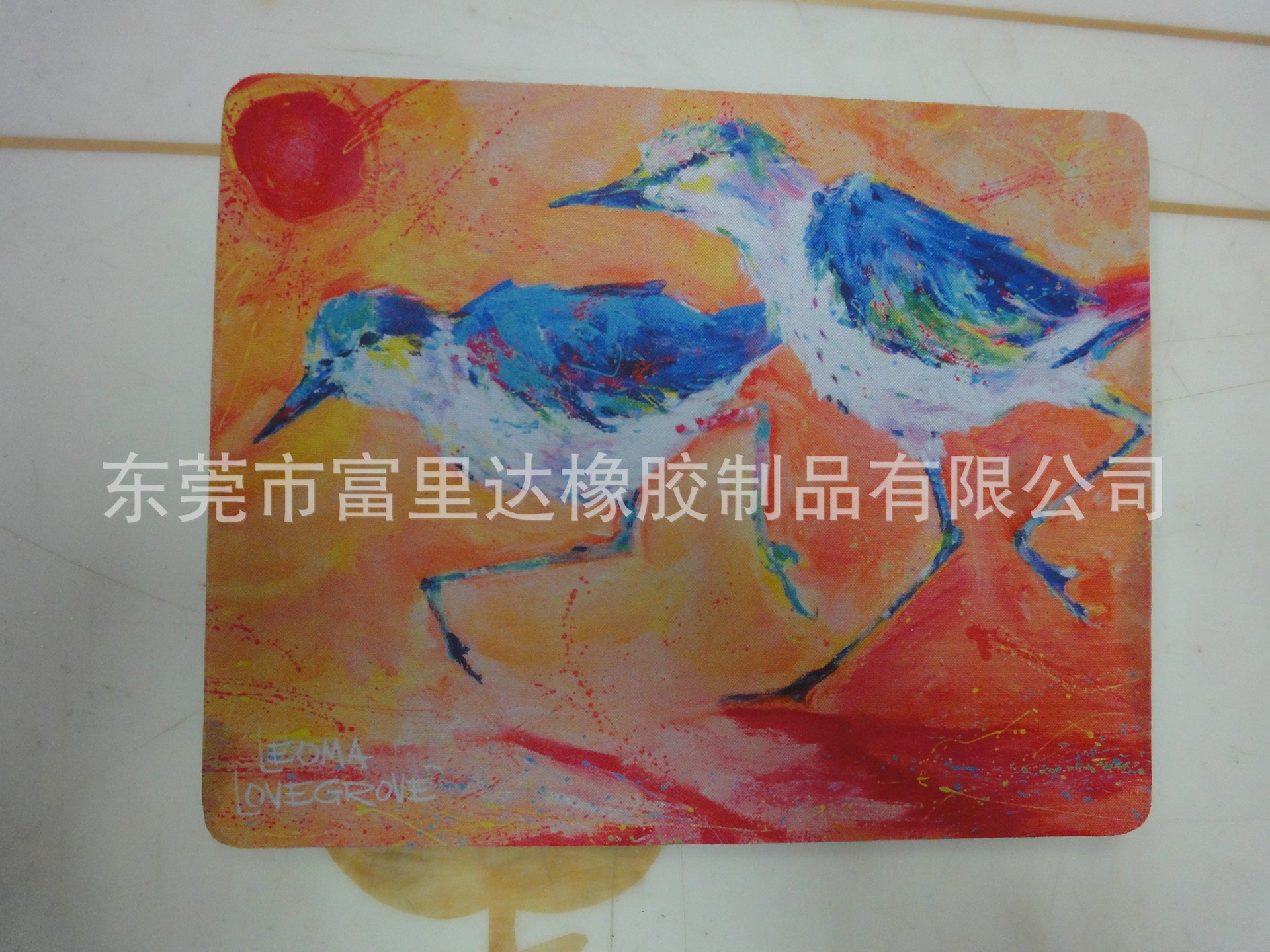 DSC00675