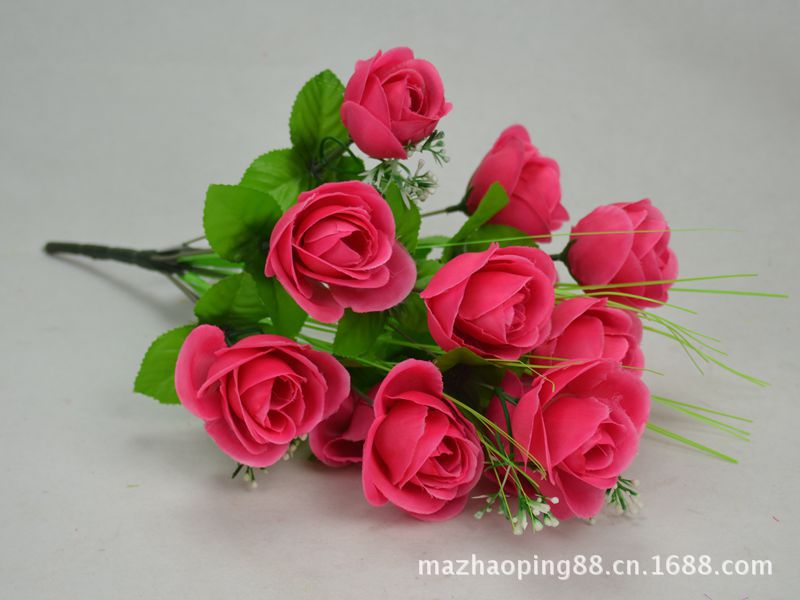 12头仙桃玫230270