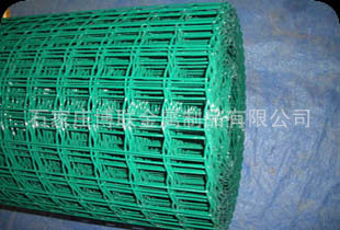 荷兰网7