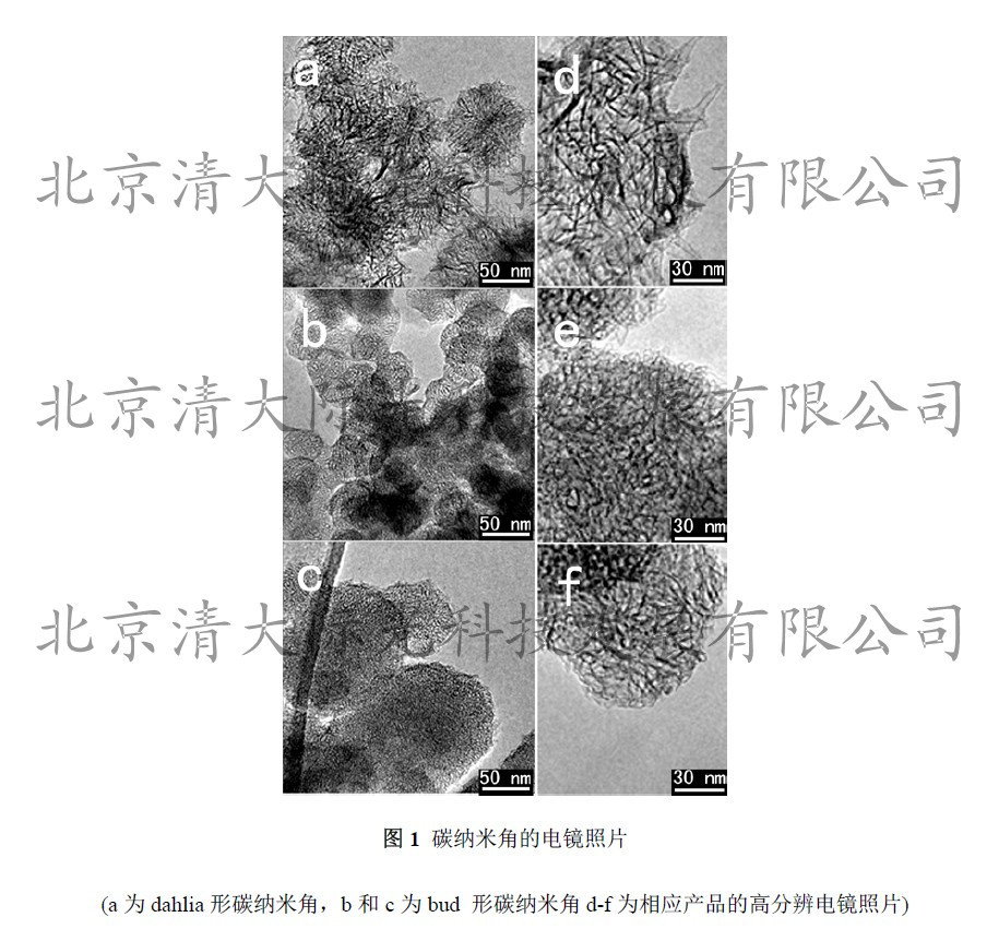 2013碳纳米角电镜图_副本