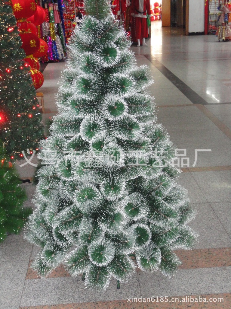 DSC00507