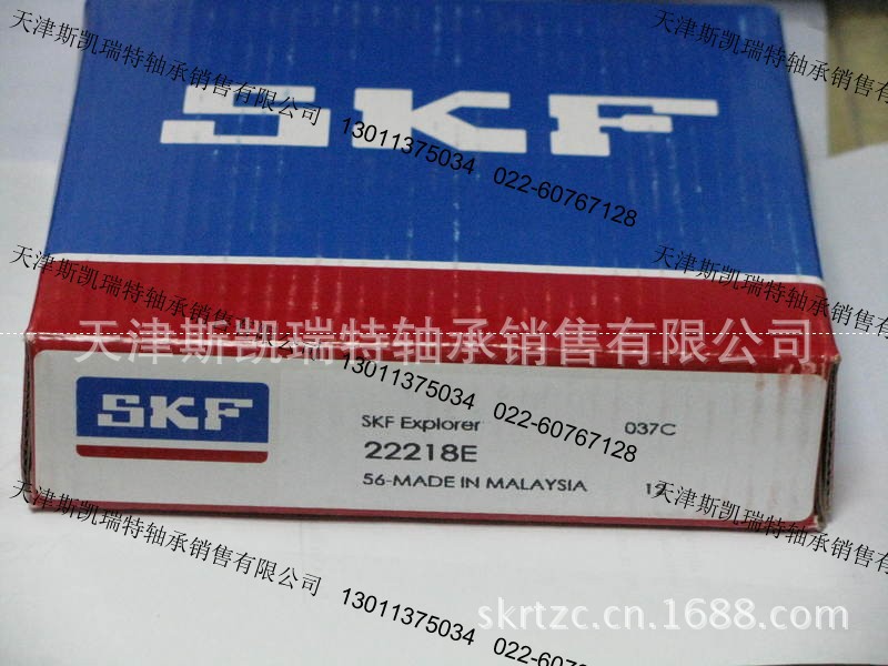 供应原装SKF进口轴承6004TN9/C3