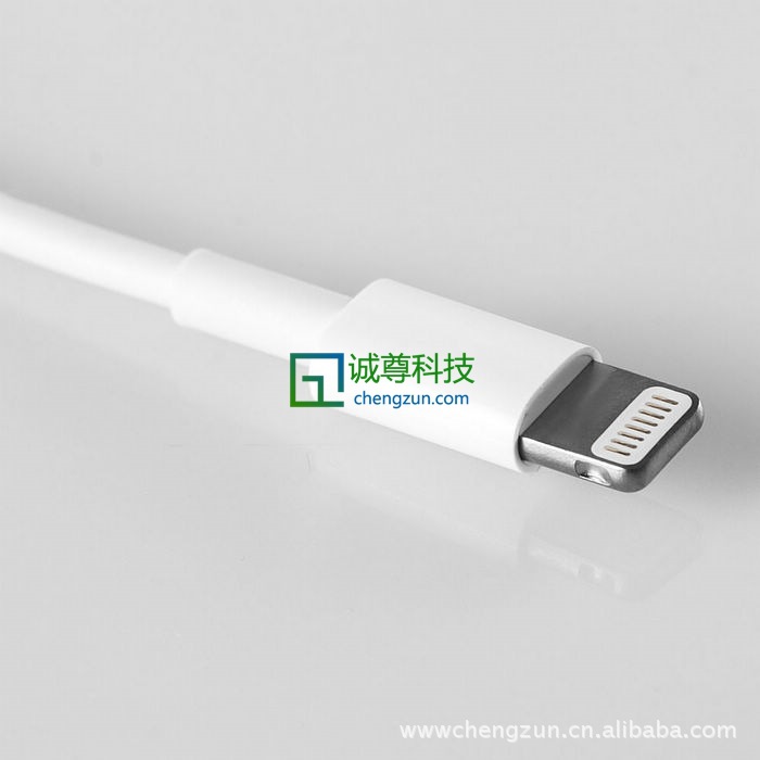 iPhone5原裝數據線