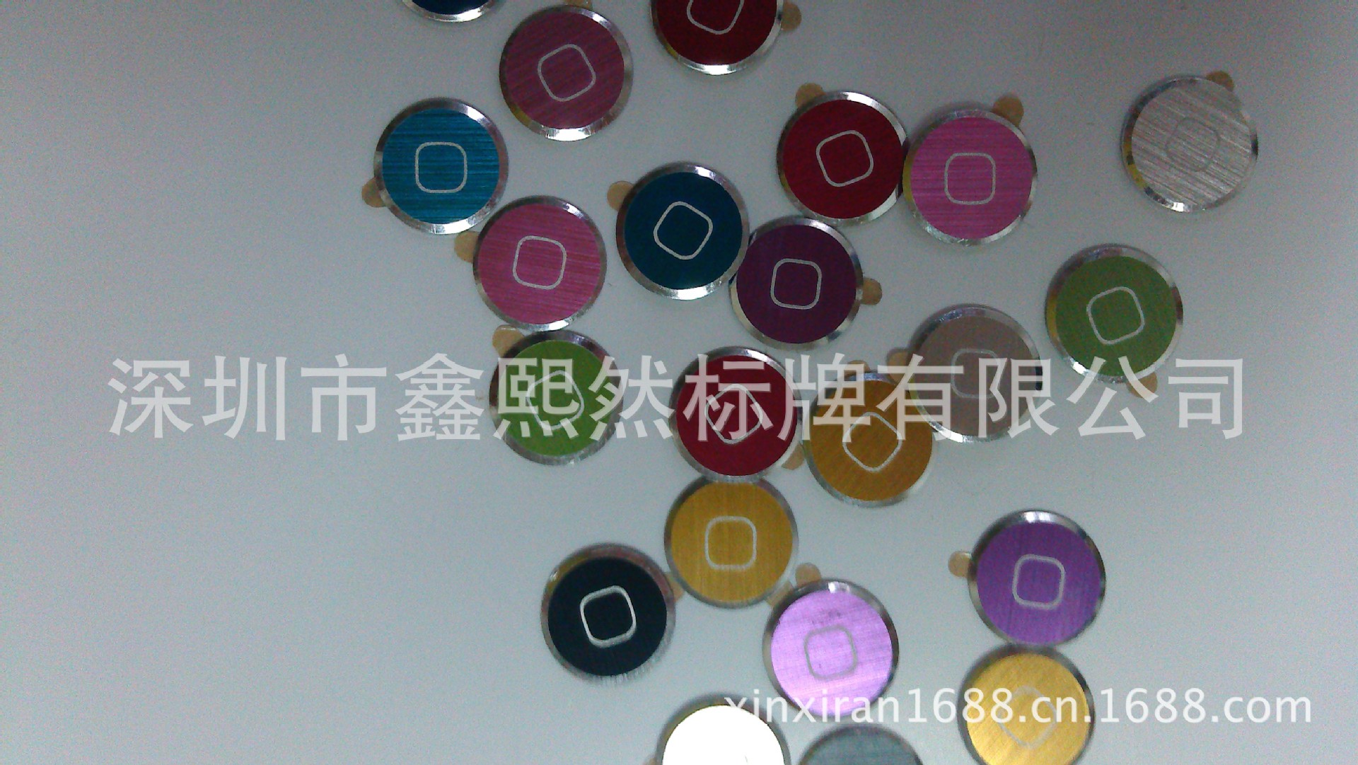 IMAG0761