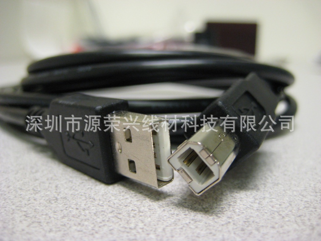 USB type A male to Type B male