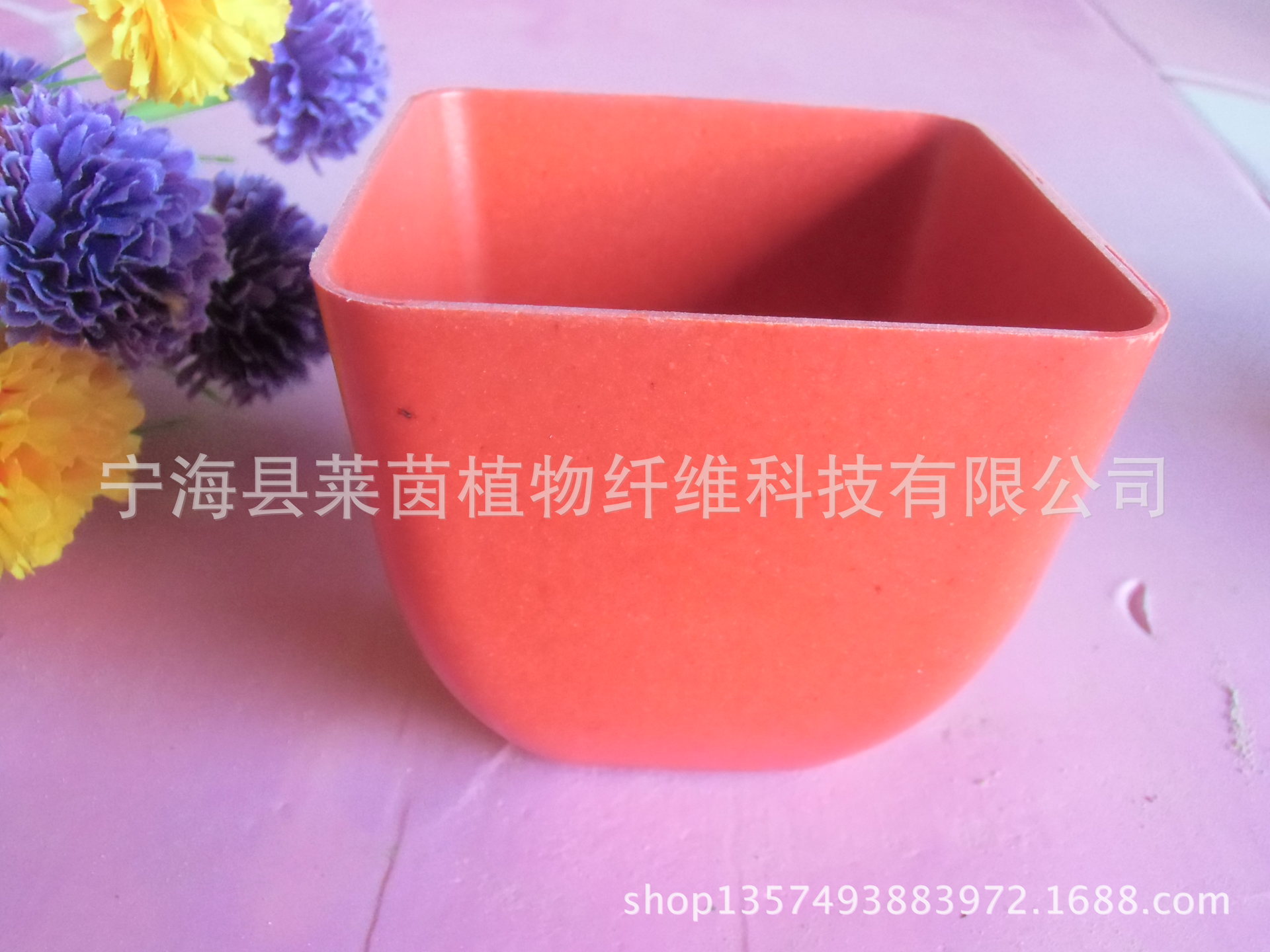 CIMG1604