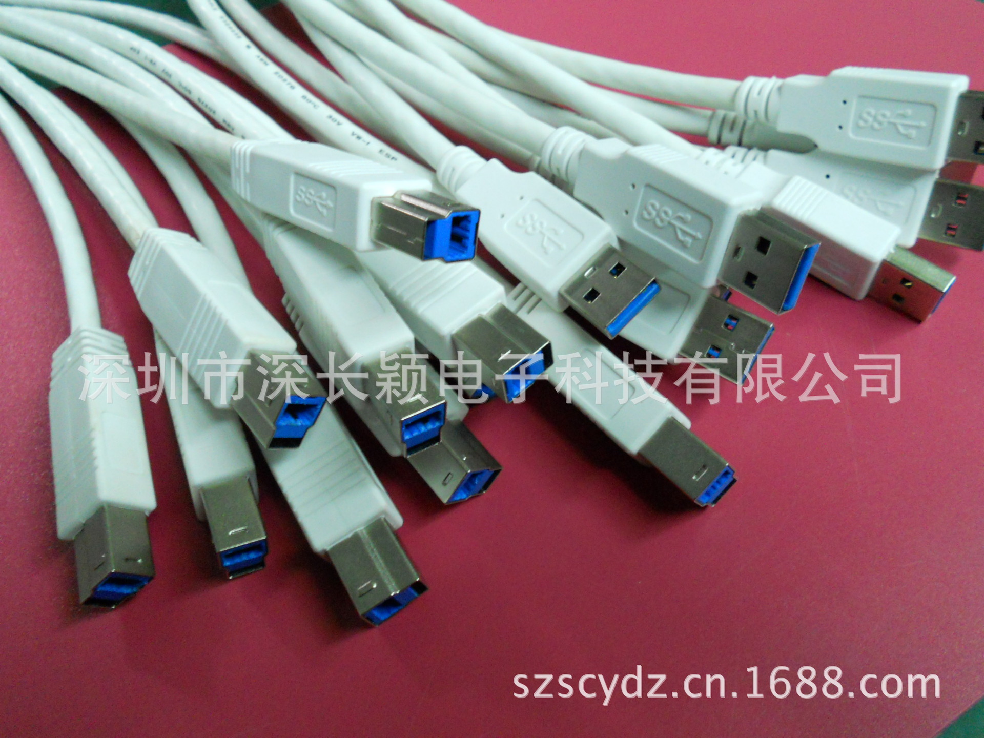 DSCN3313