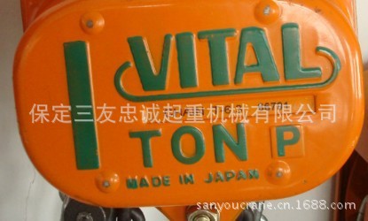 VITAL手拉葫芦101