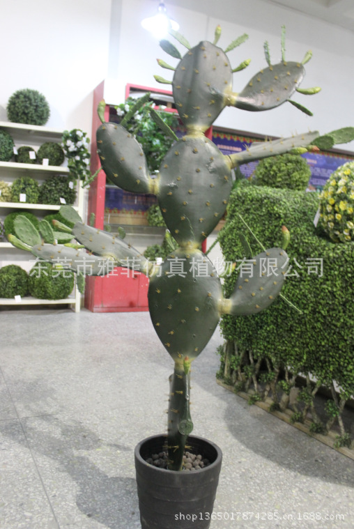 QQ截图20130629171436