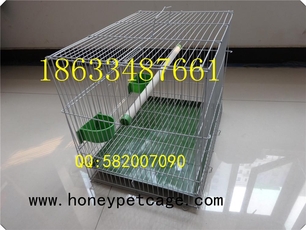 铁丝鸟笼 小群 (5)