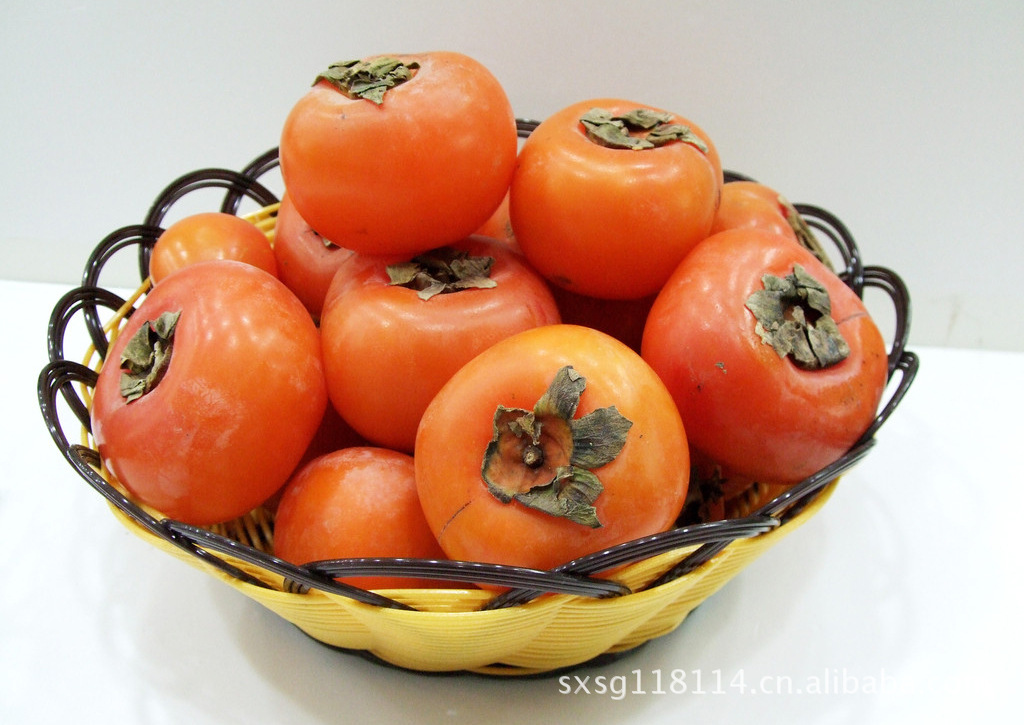 陕西水果|八月柿子供应 水果
