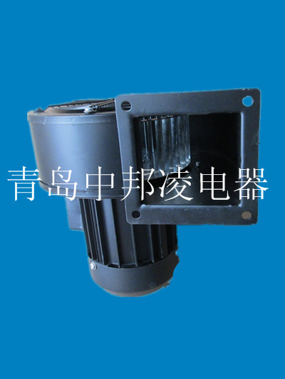 IMG_2184_副本_副本