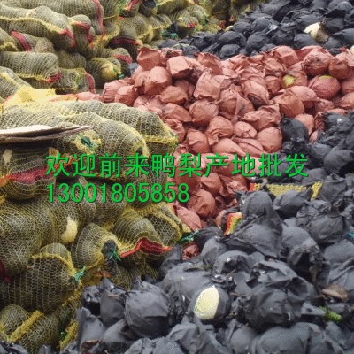 6nfichhajbkmasnlcjssu4fu57_2