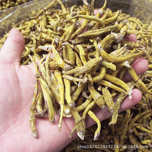 中药材供应  金石斛 霍山石斛  原枝石斛条 1kg