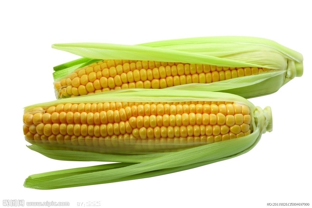 玉米