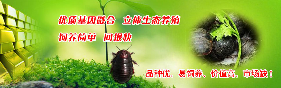 缅甸和记娱乐网址养殖10