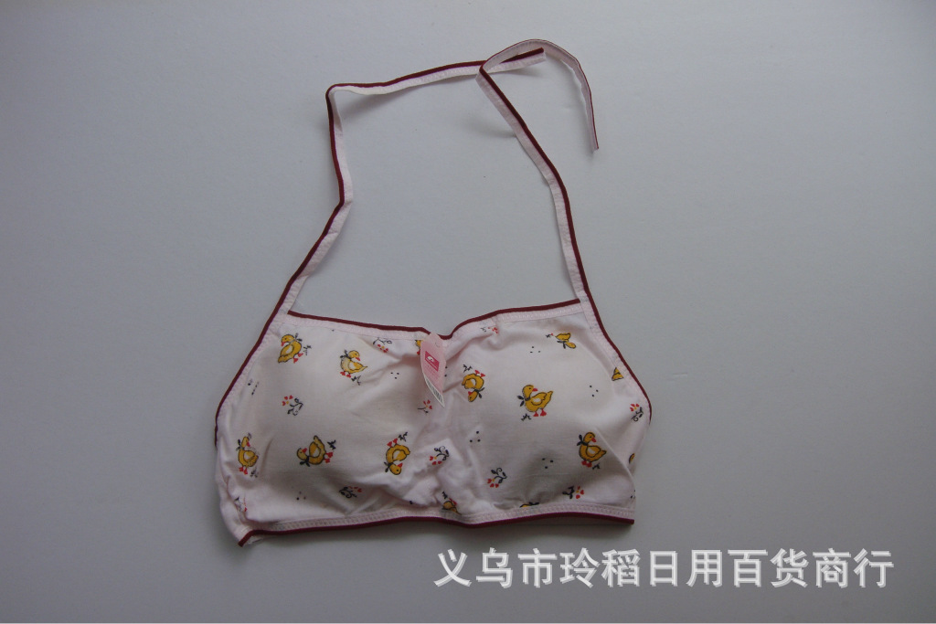 DSC04914