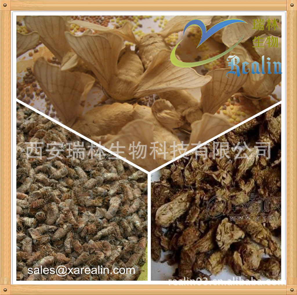 雄蚕蛾提取物 壮阳;止泄精,尿血 动物提取物纯雄蚕蛾粉 现货