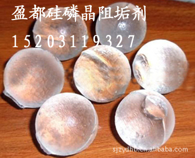 24-1109953554(1)副本