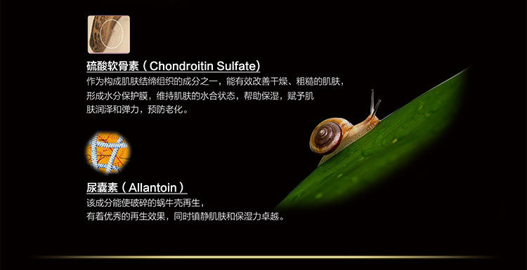 蝸牛霜內頁3_03
