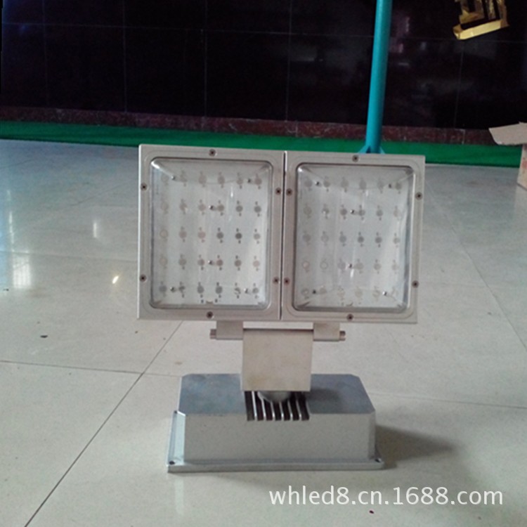 IMG_20130724_100449_1_副本