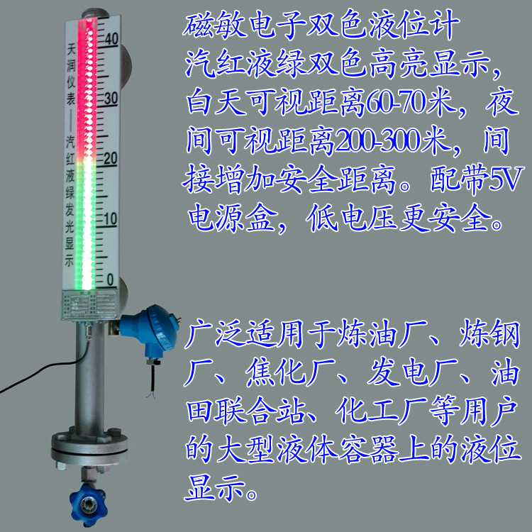 带远传磁敏电子双色液位计