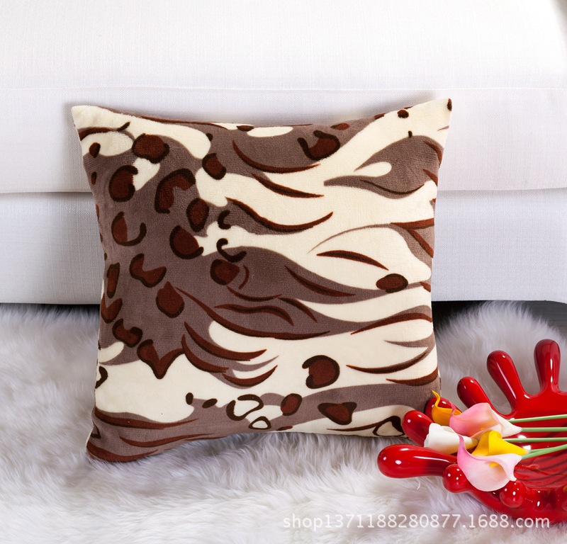 IMG_0842珊瑚绒时尚保暖抱枕靠垫