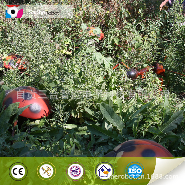 ladybug (1)