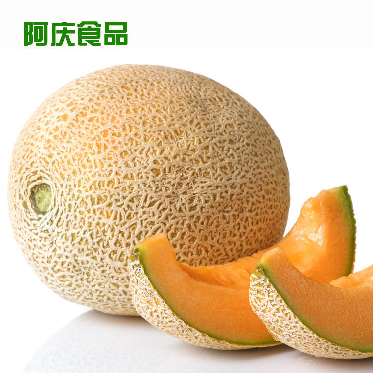 批发供应 新鲜水果 台湾水果哈密瓜 金皇后清香可口 特价特卖