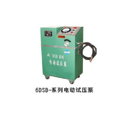 厂家直销上海名牌6DSB-2.5电动试压泵