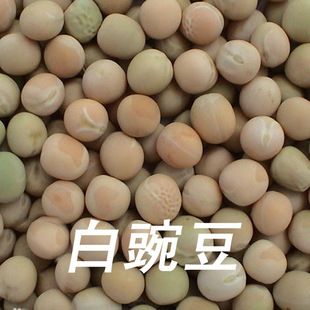 供应白豌豆