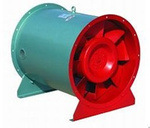 278036167_81025361.search