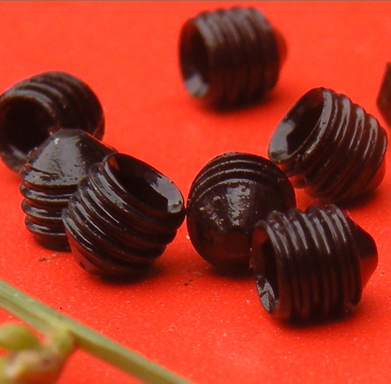 701e802c63e8f36eadc588ac9de4a7