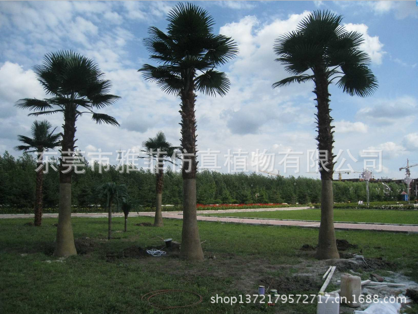 QQ截图20130729144738