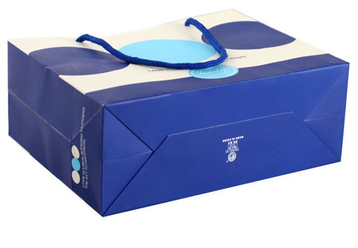 手提袋纸袋 (14)