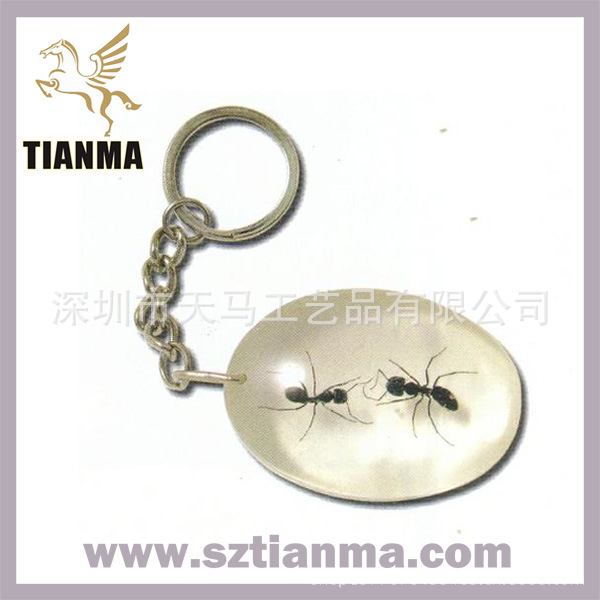 insect_resin_keyring